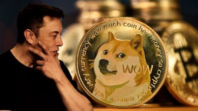 العملة الرقمية DOGE تتحدى معنويات السوق والبيتكوين تحاول العودة لمستوى 30 ألف دولار