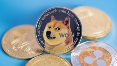 هل فقدت عملة “Dogecoin” قوتها في عالم عملات الميم؟