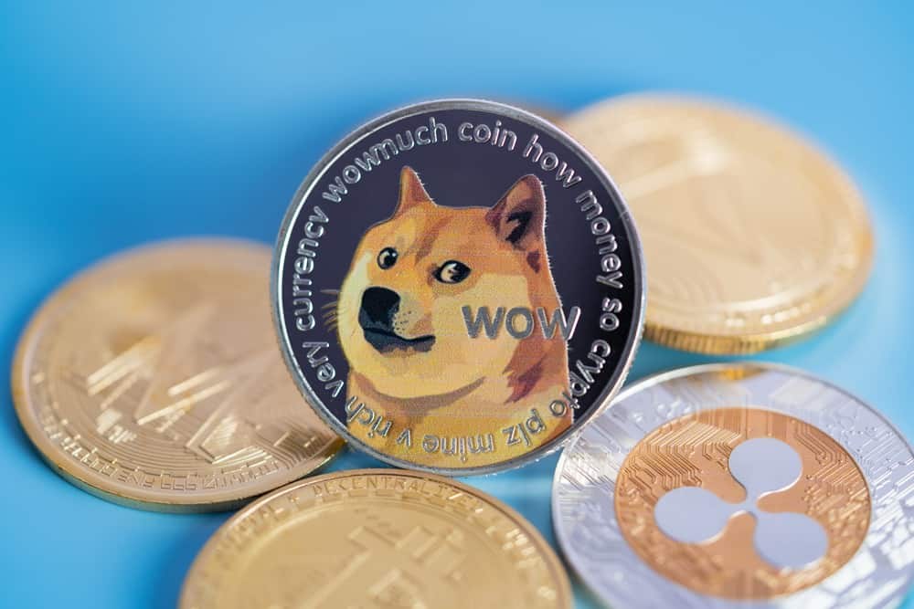 هل فقدت عملة “Dogecoin” قوتها في عالم عملات الميم؟