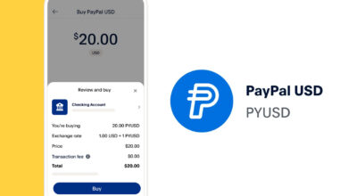 أهم مميزات العملة الرقمية المستقرة “PYUSD” التي أعلنت عنها شركة بايبال