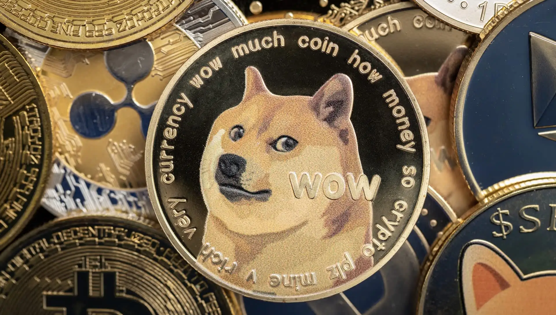 دوجكوين