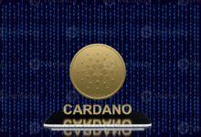 شبكة Cardano