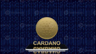 شبكة Cardano