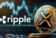 شبكة XRPL